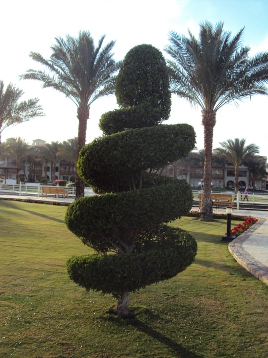 Gartenanlage Pickalbatros Dana Beach Resort - Hurghada
