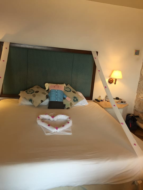 Zimmer Pickalbatros Citadel Resort