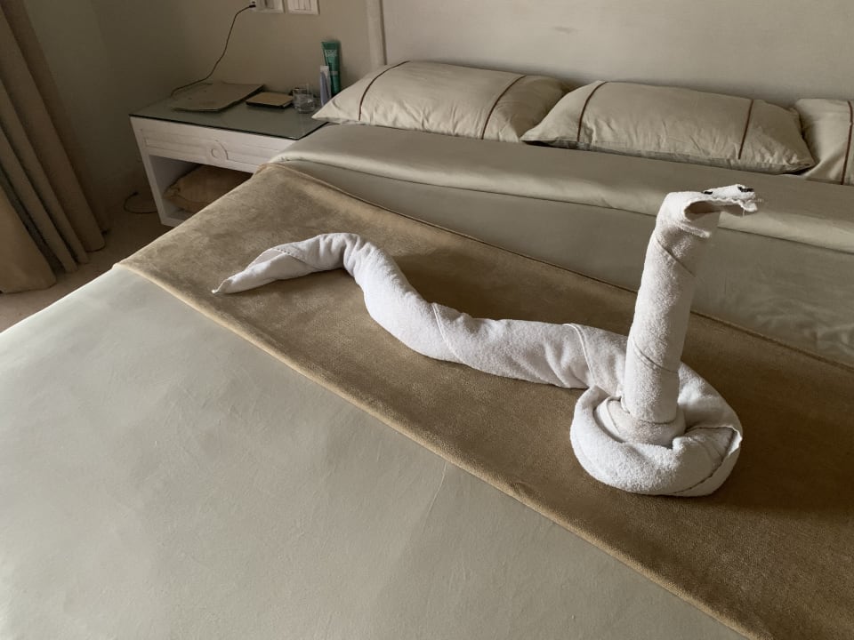 Zimmer Makadi Spa - Adults only