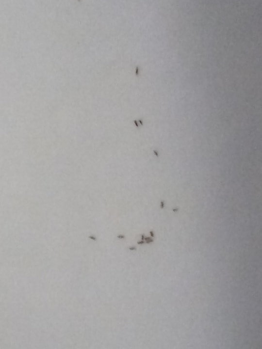 Zimmer SBH Hotel Taro Beach