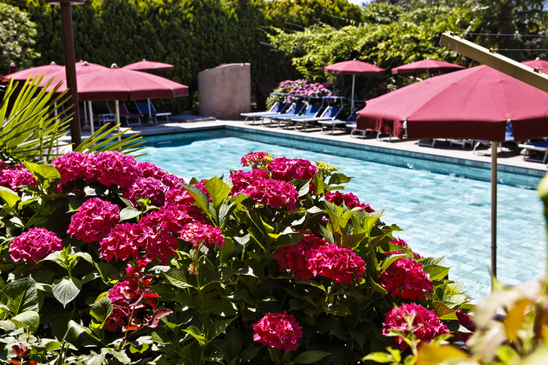 Pool Hotel Gartenresidence Zea Curtis