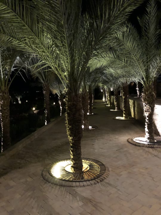 Gartenanlage Fort Arabesque Resort, Spa & Villas