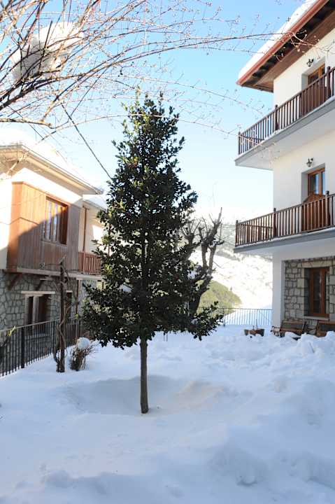 Gartenanlage Hotel Olympic