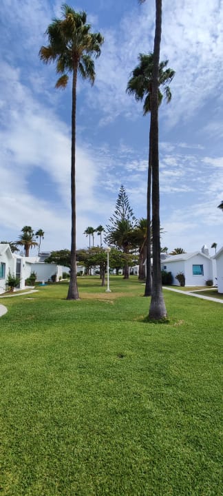 Gartenanlage Canary Garden Club