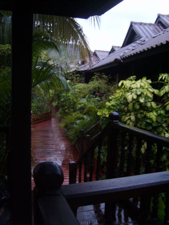 Holzbrücke zu den Bungalows im Tropenregen Hotel Salad Hut