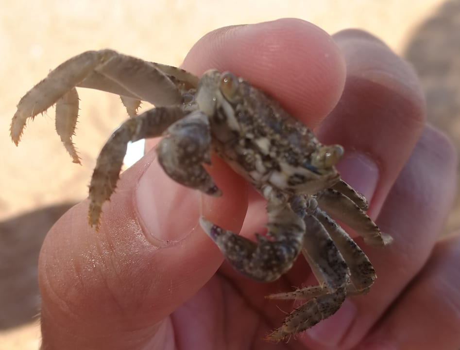 Strand Three Corners Sea Beach Resort