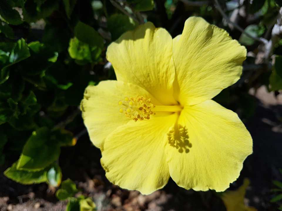 Gartenanlage Sentido Akassia Beach