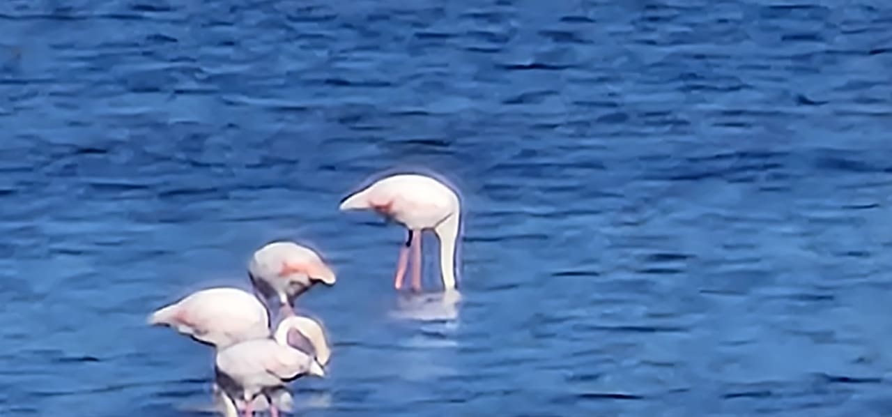 Ausblick Sandy Beach Resort