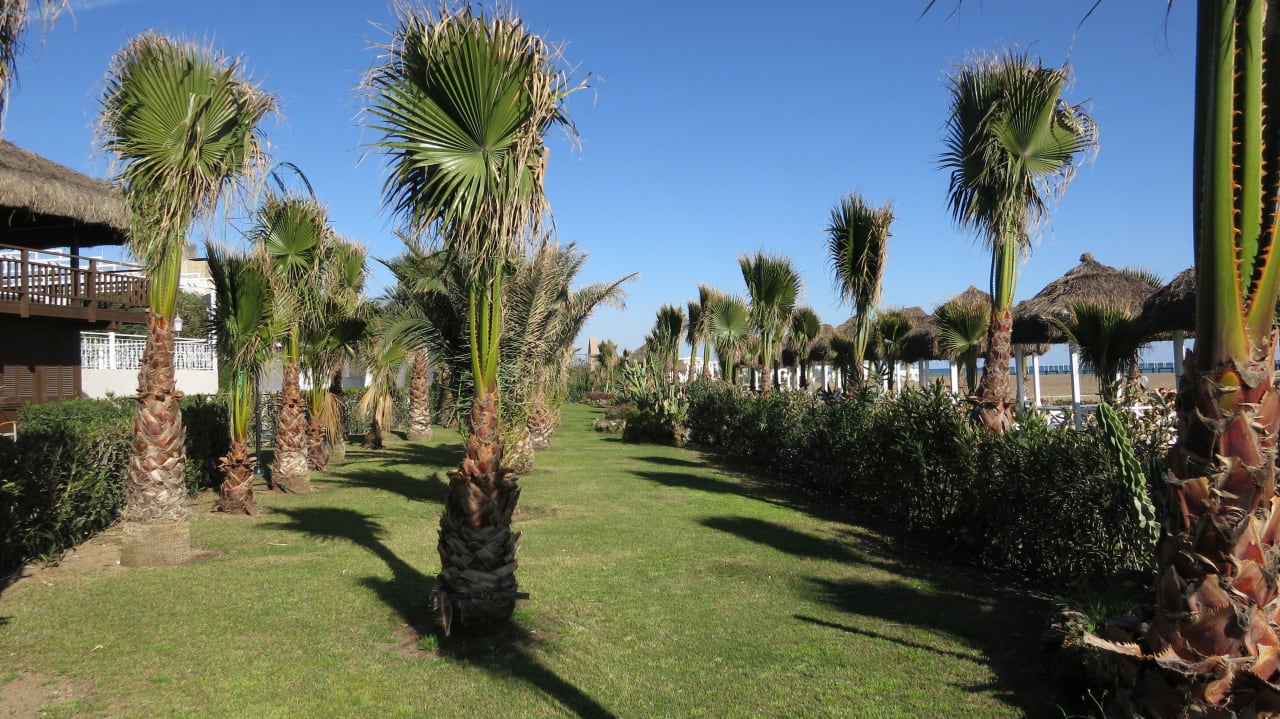 Gartenanlage Delphin Diva Premiere Hotel Delphin Diva