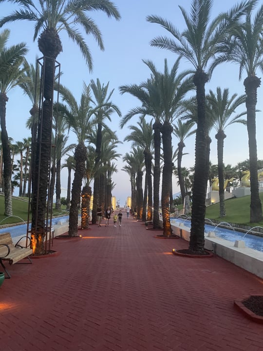 Gartenanlage Monachus Family Resort Sorgun