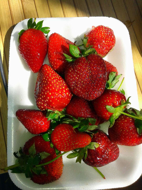 Долгожданная клубника) Viking Park