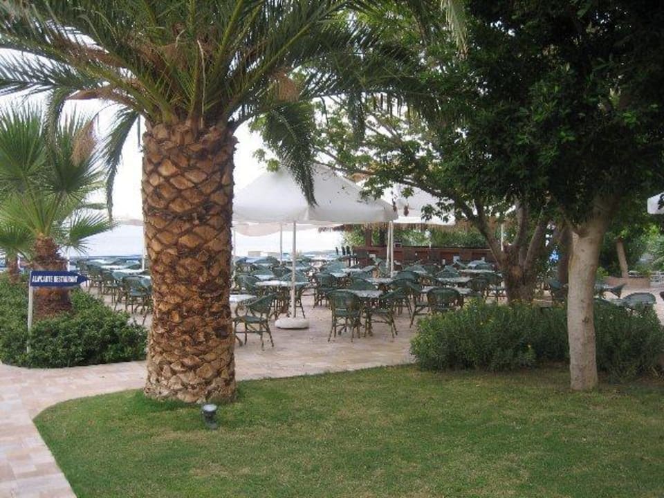Garten und Pool- bzw. Strandbar Hotel Grand Side
