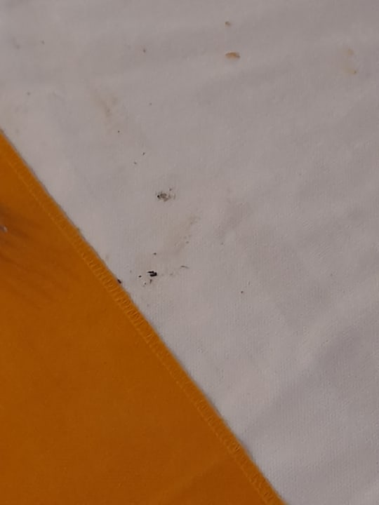 Gastro Hotel Asrin Beach