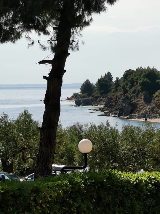 Ausblick Blue Dolphin Resort Hotel