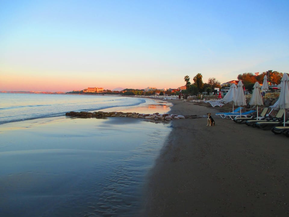 Strand rechts Özlem Garden Hotel