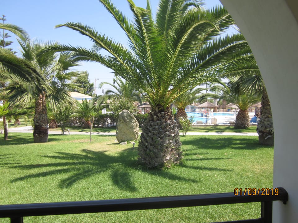 Ausblick Corali Hotel