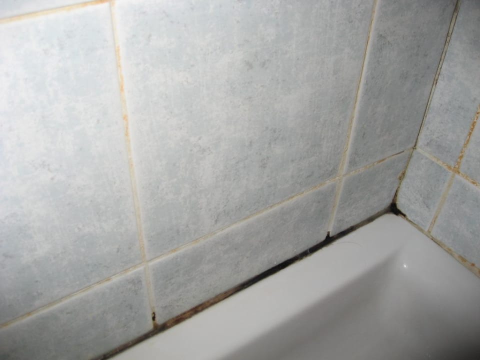 Schimmelbildung 3. Dusche Hotel Fattoria Castelvecchi