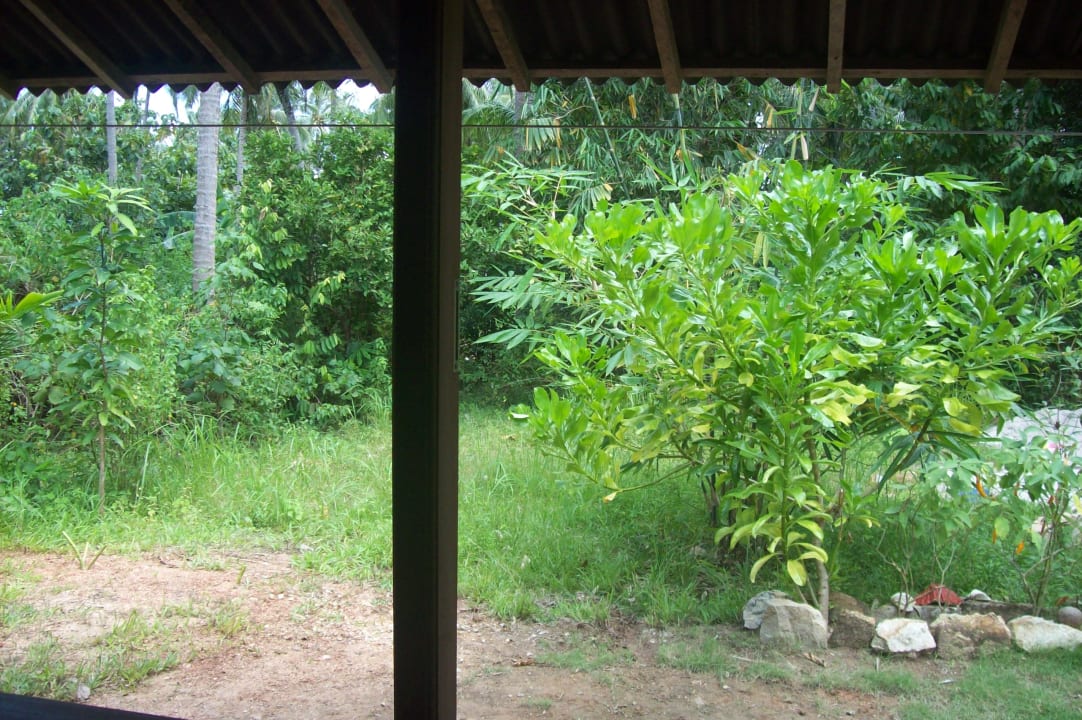 Ausblick Homestay Pondok Bintang Karimunjawa