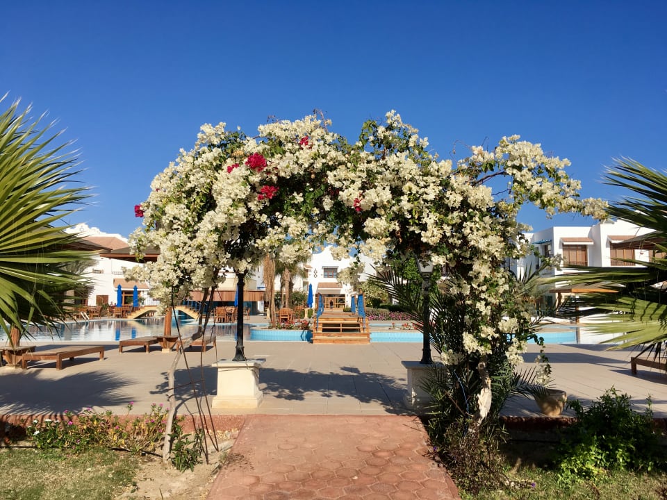 Gartenanlage Lahami Bay Beach Resort