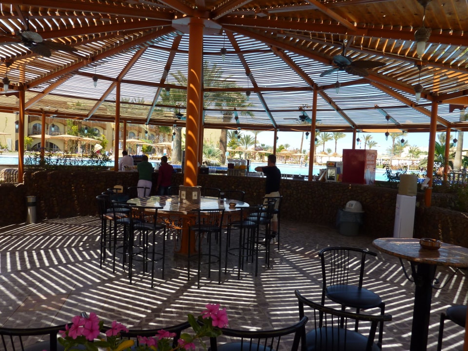 Poolbar am Tag Desert Rose