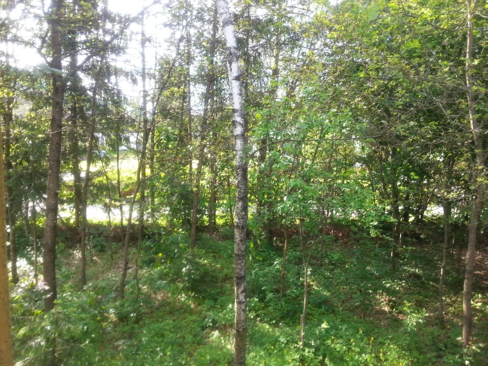 Ausblick vom Zimmer Pension Fischinger