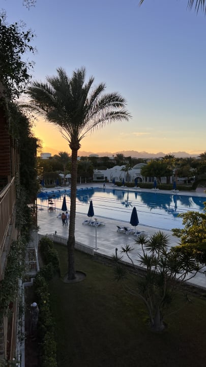 Ausblick Desert Rose