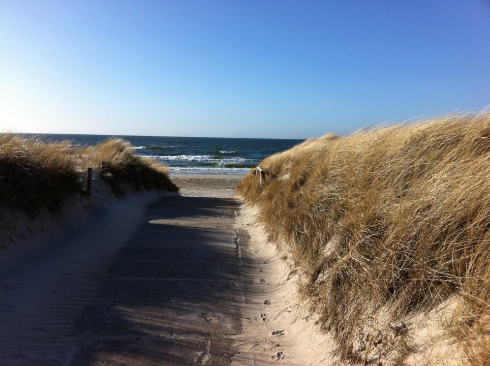 Weg zum Strand Ostseehotel Dierhagen