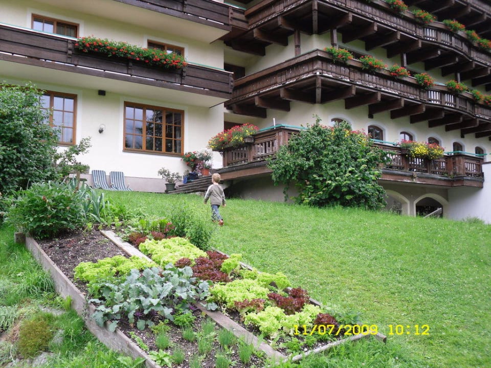 Garten Hotel Gasthof Wachter