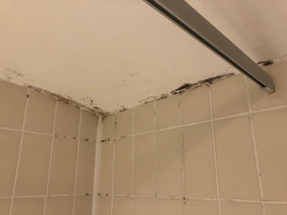 Zimmer Washington hotel