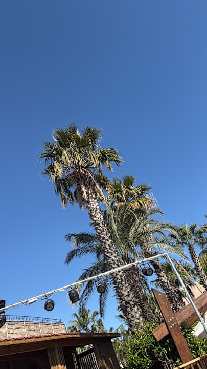 Gartenanlage Saturn Palace Resort Hotel