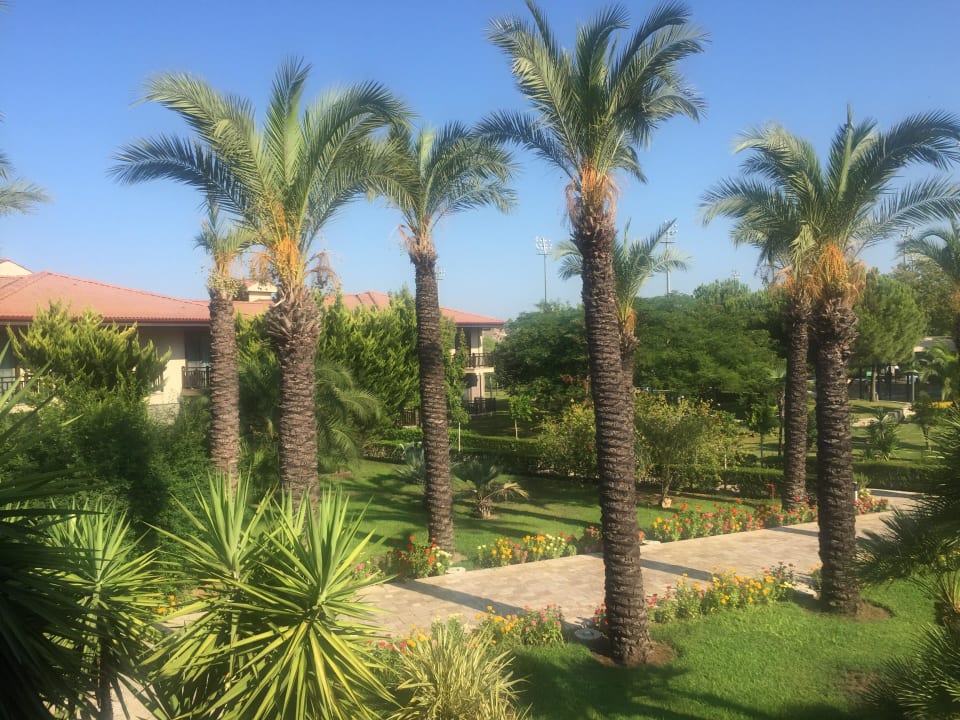 Ausblick TUI BLUE Palm Garden