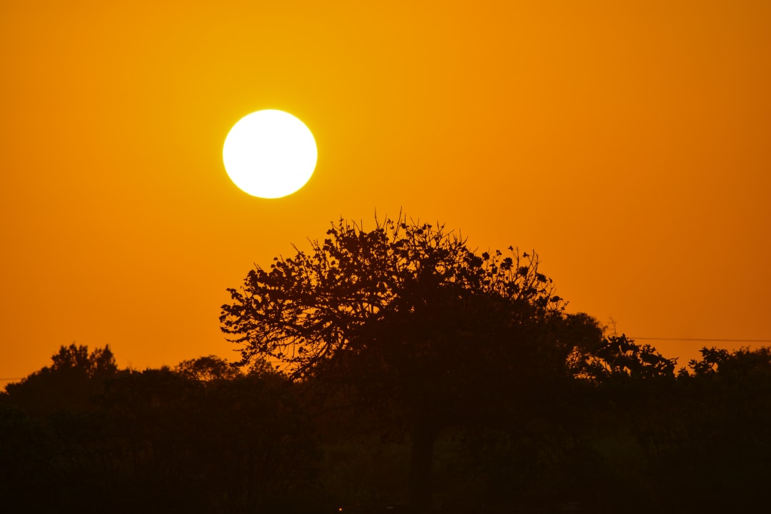 Ausblick Reef & Beach Resort