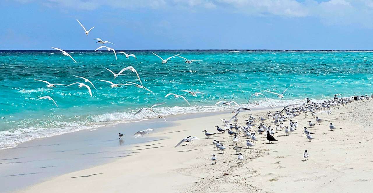 Strand Constance Moofushi Maldives