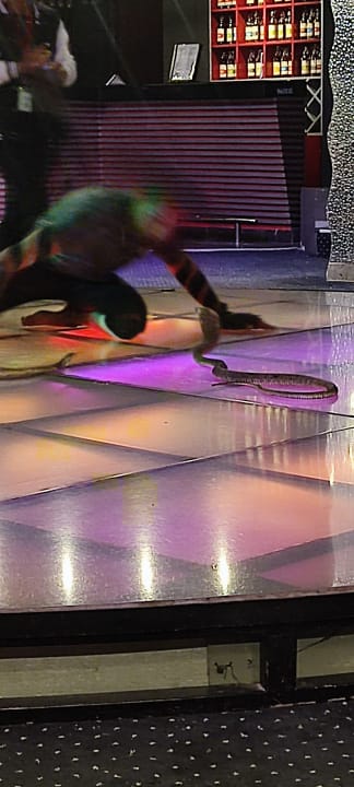 Sport & Freizeit Stella Beach Resort & Spa Makadi Bay