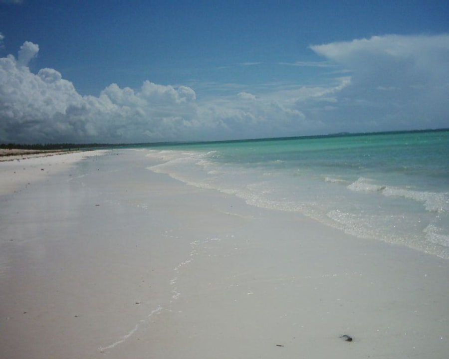 Neptune Strand bei Ebbe Neptune Pwani Beach Resort & Spa