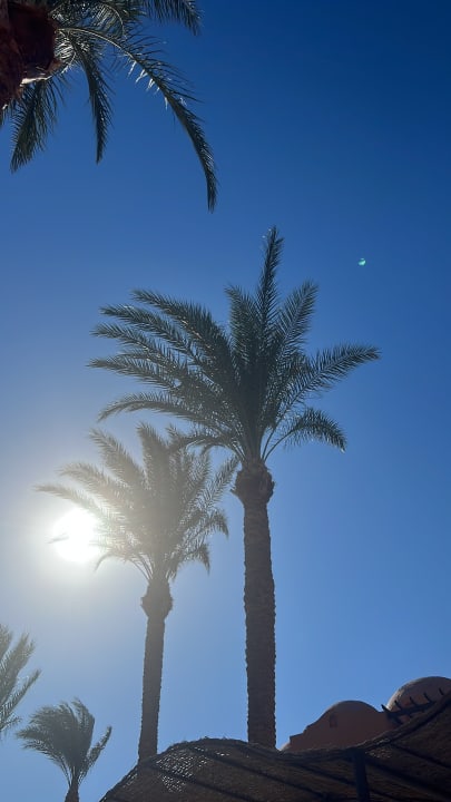 Ausblick Jaz Makadi Oasis Resort