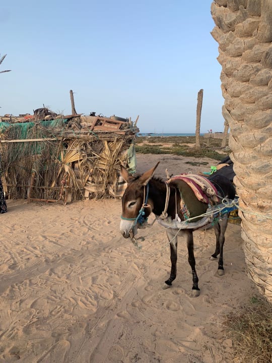 Sonstiges Zita Beach Resort