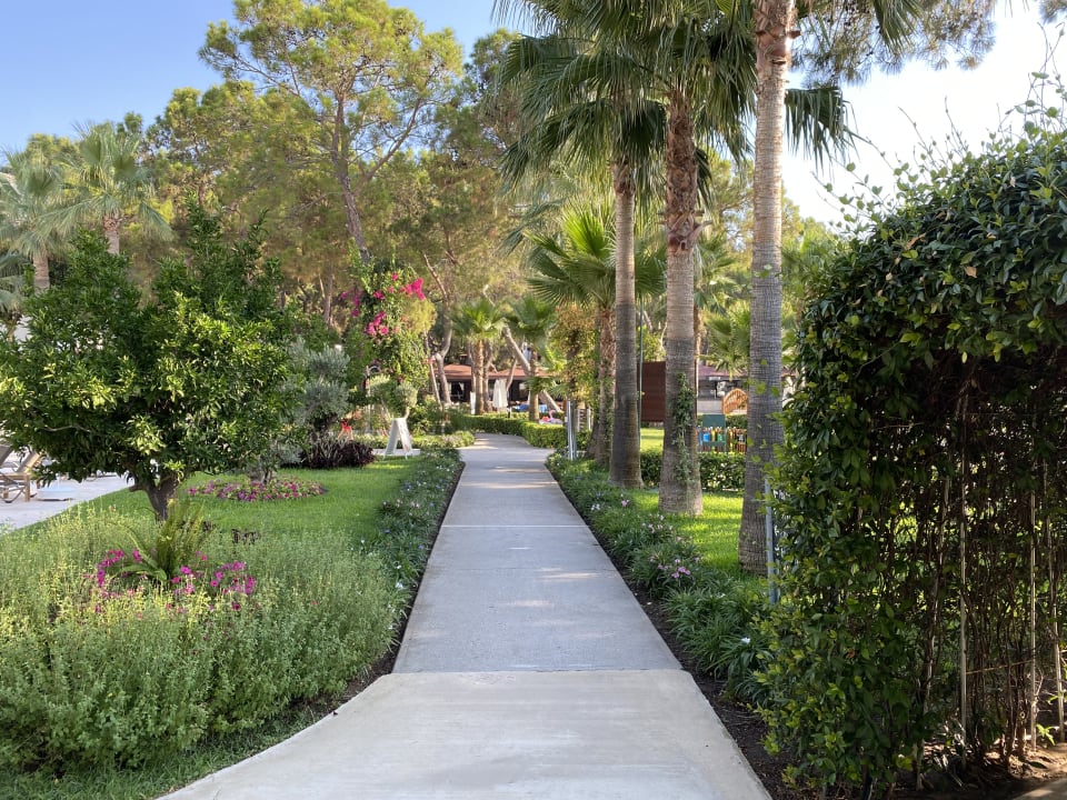 Gartenanlage Seven Seas Hotel Life