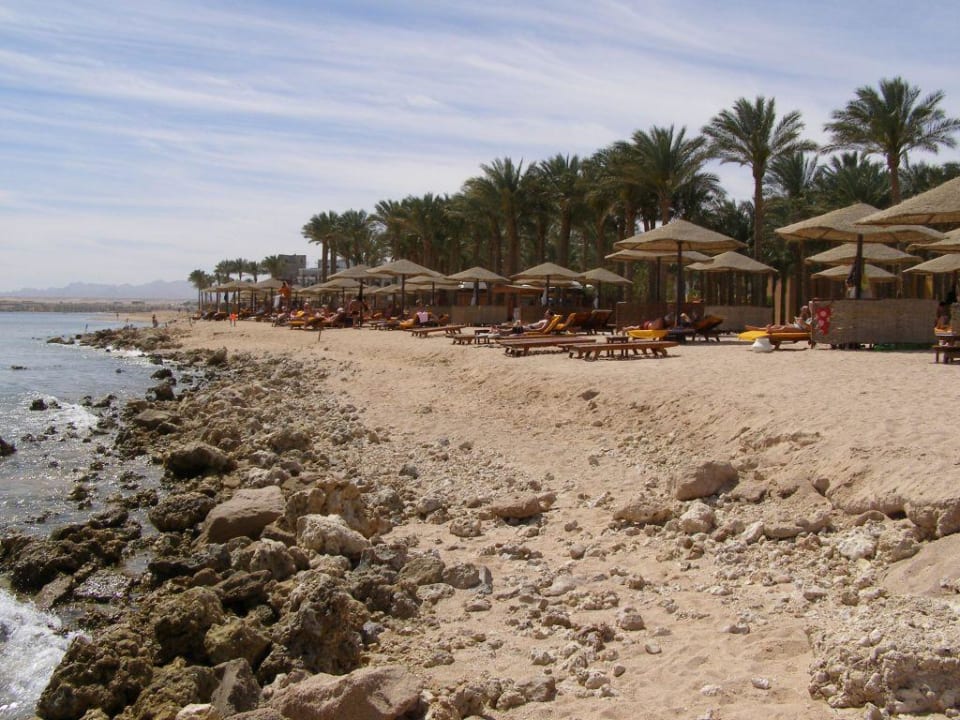 Strandabschnitt mit Hausriff Makadi Palace