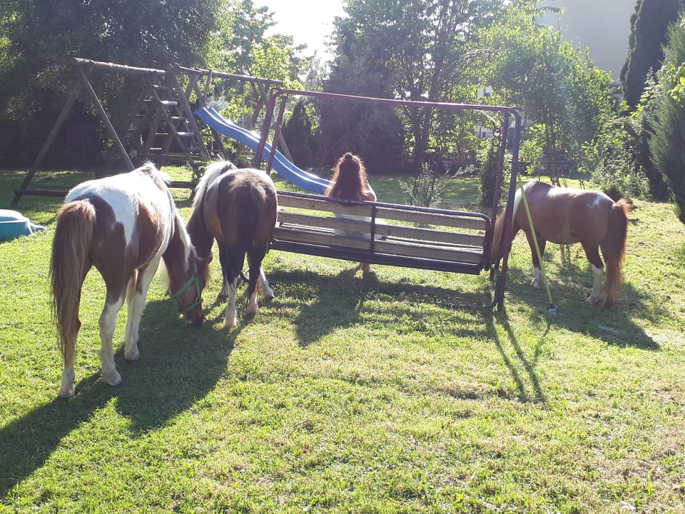 Sport & Freizeit Hotel Reiterhof Altmühlsee
