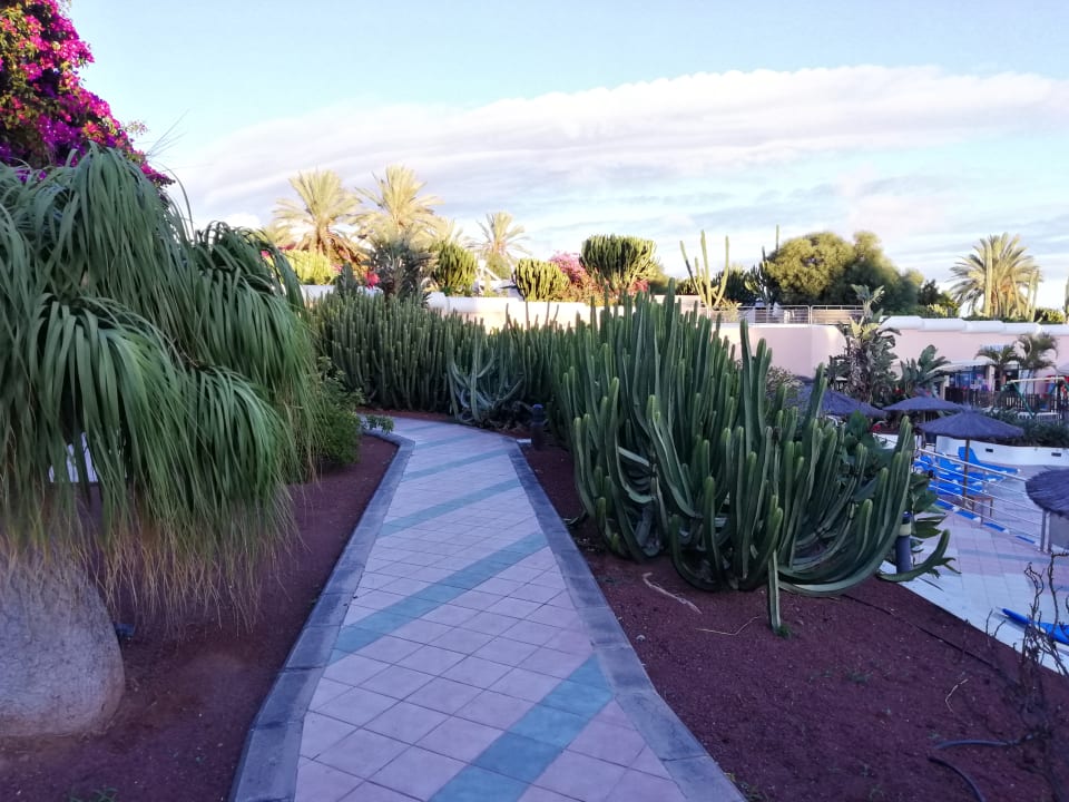 Gartenanlage Hotel HL Club Playa Blanca