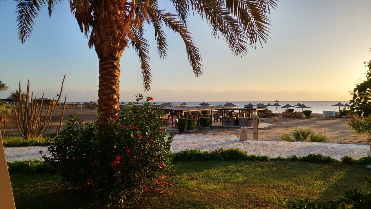 Ausblick Shams Alam Beach Resort