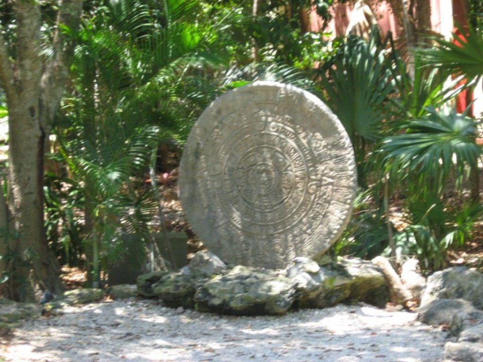 Hotel area Hotel Riu Tequila