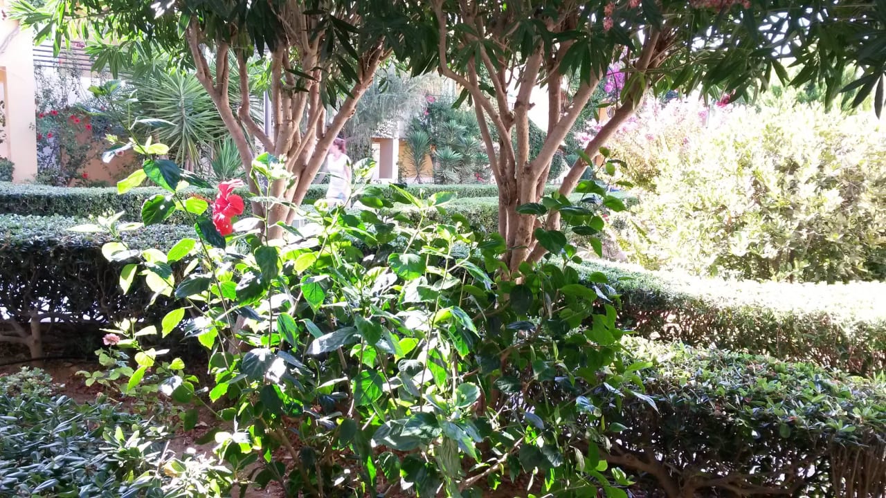 Garten Vantaris Luxury Beach Resort