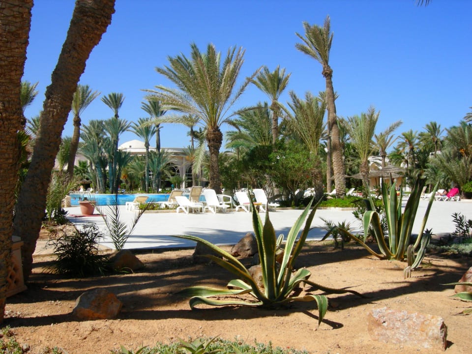 Zwischen den beiden Pools Zita Beach Resort