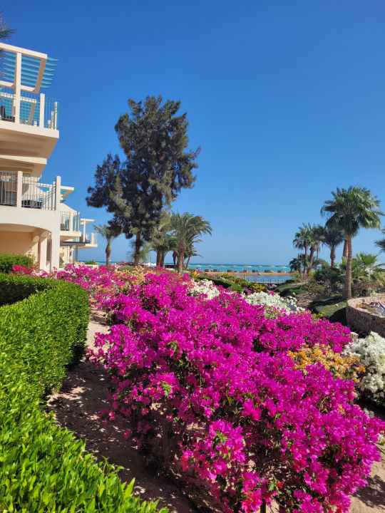 Außenansicht Mövenpick Resort & Spa El Gouna