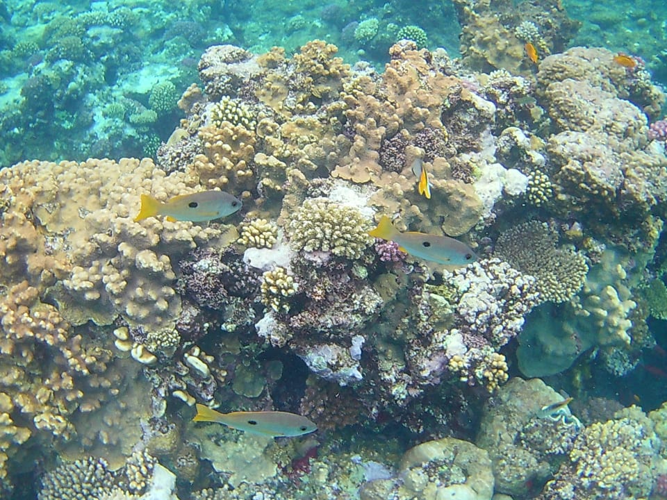 Strand Three Corners Sea Beach Resort