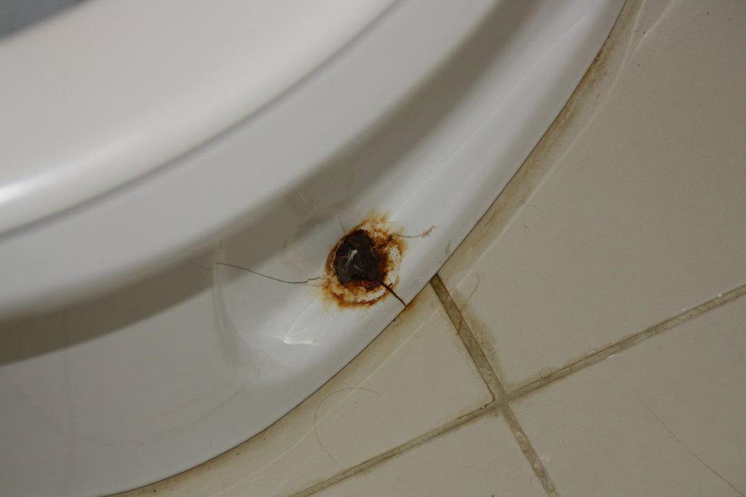 Toilette Movie Gate Miramar