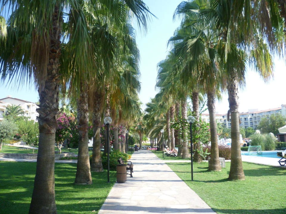 Weg zum Strand Arum Barut Collection
