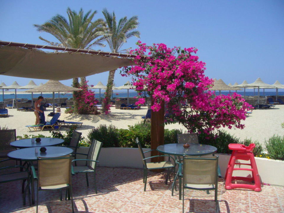 Mittagessen am Strand Malikia Resort Abu Dabbab